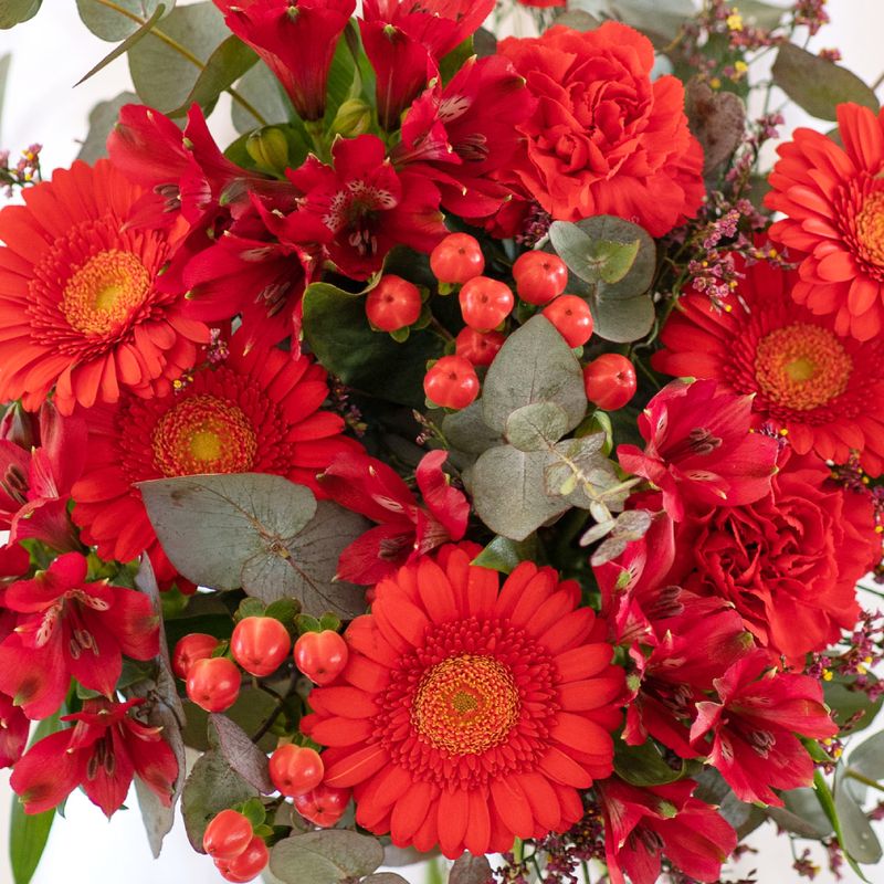 Bouquet du fleuriste interflora rouge sans rose pour la saint-Valentin comparateur de fleurs bloomyrama