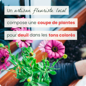 Coupe de plantes fleuries colorées pour deuil livraison 123fleurs comparaison de fleurs bloomyrama